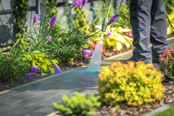 Best Parking Lot Cleaning in Schofield, WI
