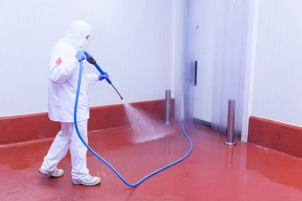 Best Concrete Surface Cleaning in Schofield, WI