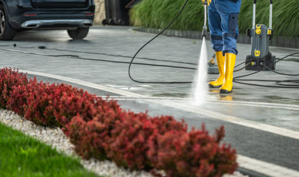 Best Window and Screen Pressure Cleaning in Schofield, WI