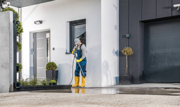 Best Gutter Cleaning and Brightening in Schofield, WI